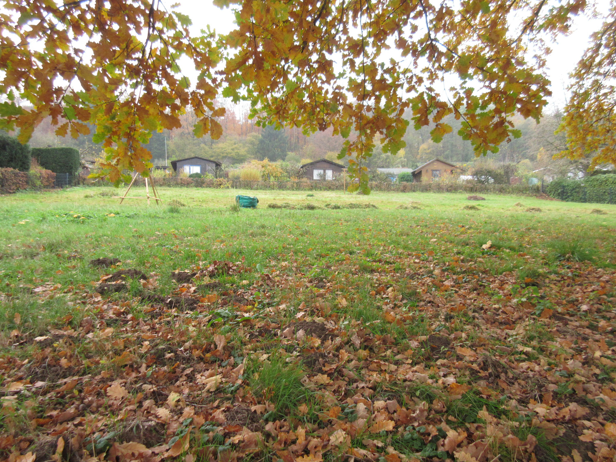 Die Wiese Im Herbst Eine Kostenlose Schlammpackung Blumenwiese Bielefeld